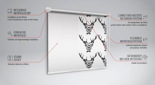 Innenrollo RANGIFER 60 x 140 cm
