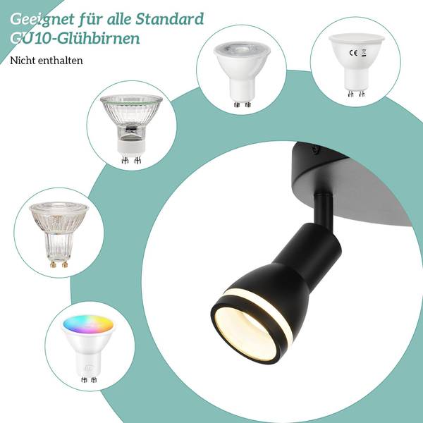 Spot plafond Delmenhorst 3 ampoules Noir - Métal - 20 x 16 x 20 cm