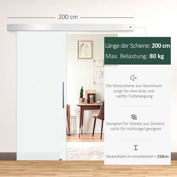 Schiebetor E7-0001 Glas - 1 x 205 x 90 cm