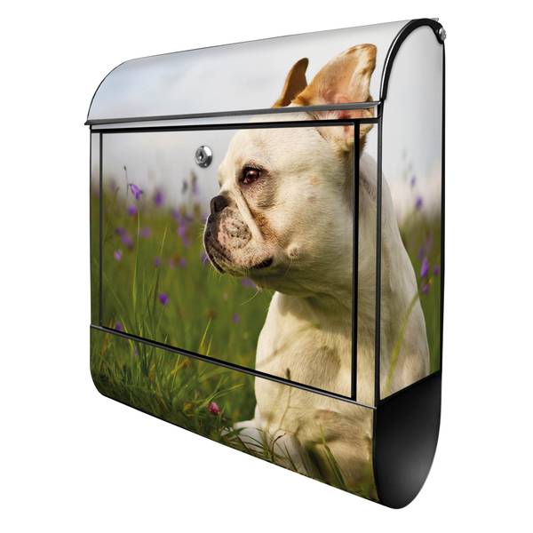 Briefkasten Stahl Französische Bulldogge Schwarz - Stahl - 38 x 46 x 13 cm