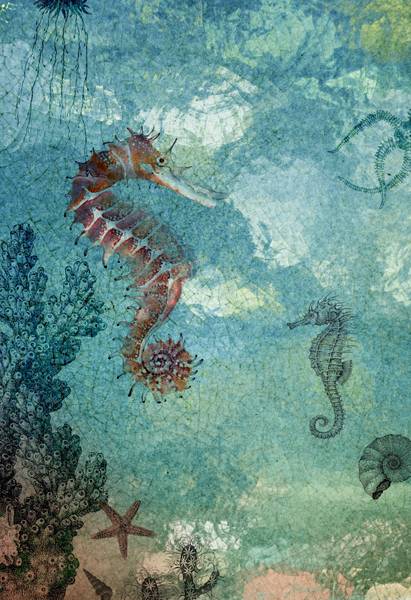 Panorama-Tapete Seahorse Blau - Papier - 192 x 280 x 192 cm