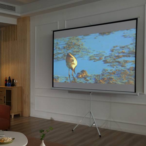 Beamer Leinwand 001-008 Weiß - Kunststoff - 1 x 152 x 203 cm