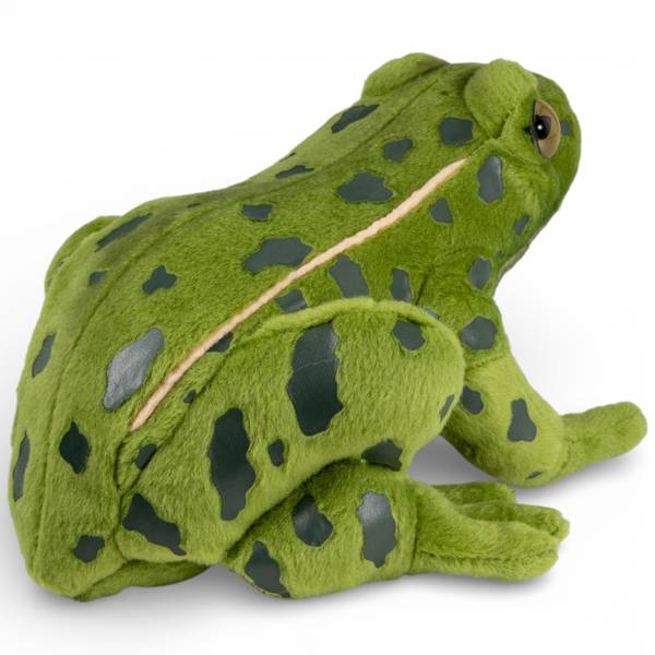 Kuscheltier Teichfrosch Grün - Kunstfell - 13 x 10 x 19 cm