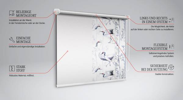 Rollo HERODIS 60 x 140 cm