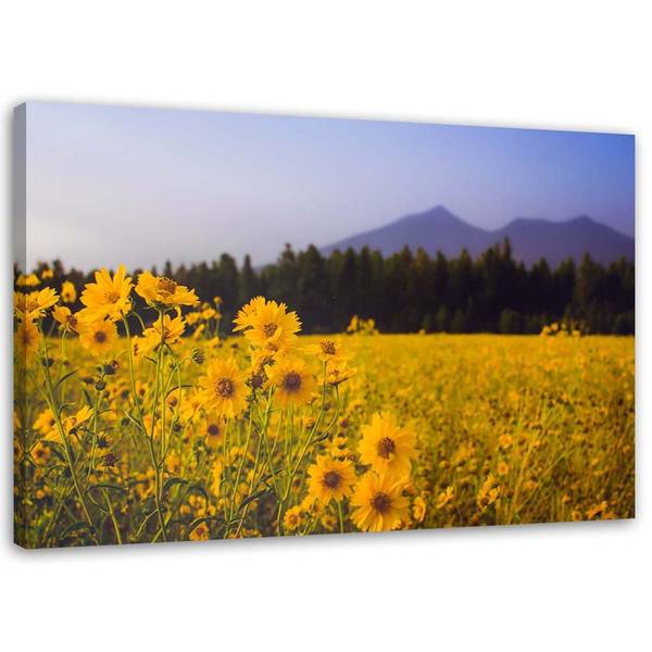 Canvas schilderij veldbloemen 90 x 60 cm