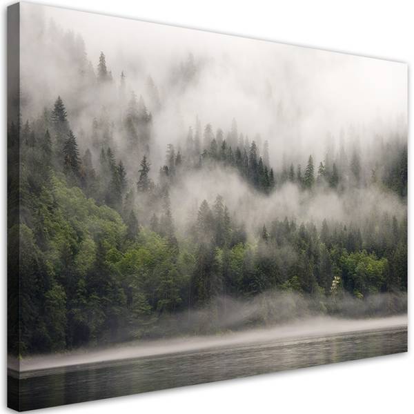 Tableau déco forêt dans la brume paysage 100 x 70 cm