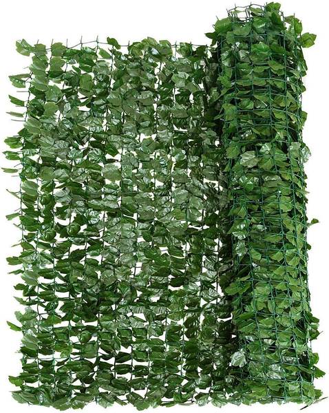eiben hillii Becher-Eibe Hillii (Taxus Media Hillii) - Ohne Beeren | 50-60 cm im Topf main image 0