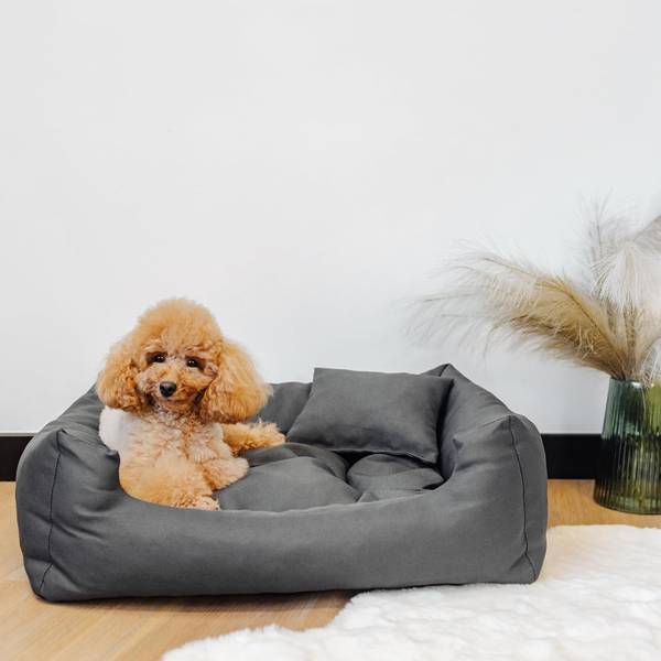 Hundebett 65 55 x 65 cm