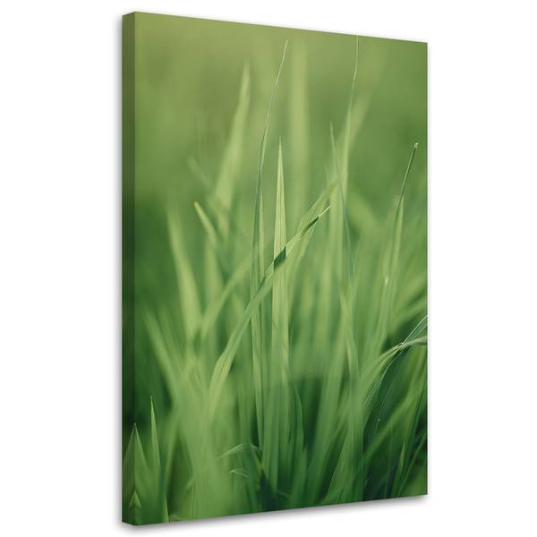 Wandbild grashalm 80 x 120 cm