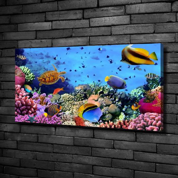 Wandbild Korallenriff 100 x 50 cm