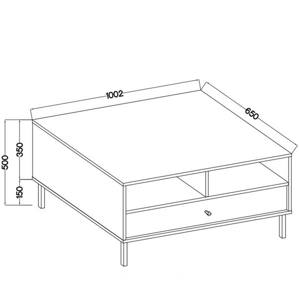 Couchtisch FLOREN II Grau - Holzwerkstoff - 100 x 50 x 65 cm