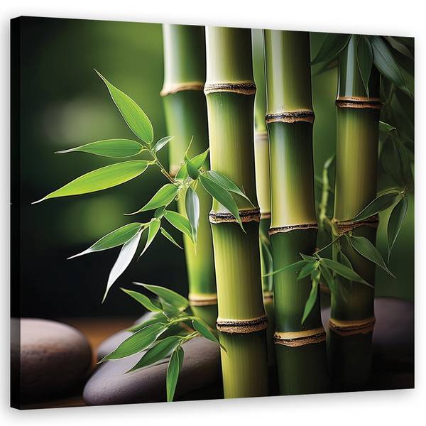 Wandbild orientalischer bambus zen 40 x 40 cm