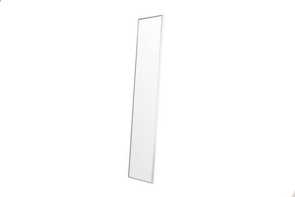 Ganzkörperspiegel Dalton Silber - Glas - 67 x 220 x 3 cm