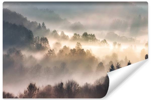 Fotobehang lichtstralen in het bos | bosbehang voor de slaapkamer - Eisenmann