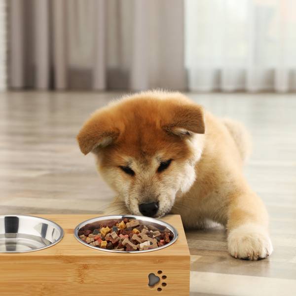 Doppelte Futterbar für Hunde Braun - Silber - Edelstahl - 32 x 7 x 15 cm