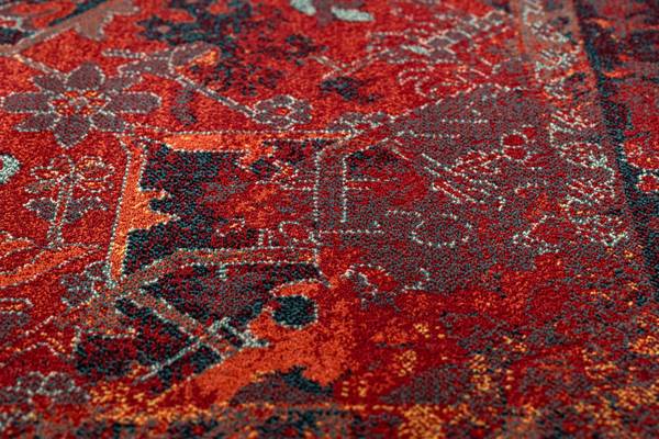 Teppich P15787 235 x 350 cm