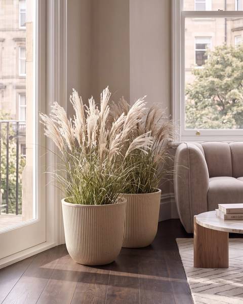Blumentopf DRABA 2-tlg Beige - Kunststoff - 44 x 40 x 44 cm