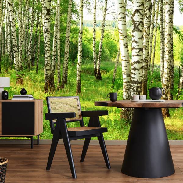 Fototapete Birkenwald Bäume Pflanzen 250 x 175 x 175 cm