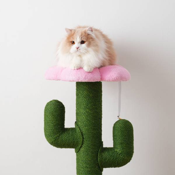 Kat klimrek FlowerWoody groen - plaatmateriaal op houtbasis - 46 x 90 x 46 cm