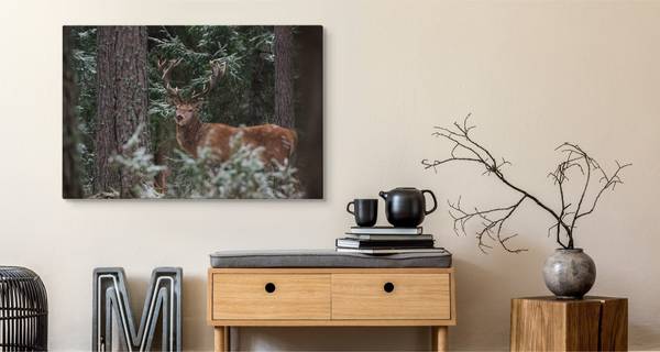 Leinwandbild Hirsch WALD Winter Bäume 3D 40 x 30 x 30 cm