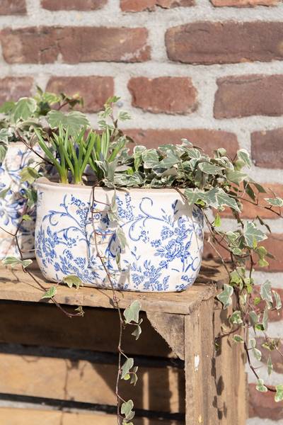 Bloempot Mireyasi 9 x 10 x 17 cm