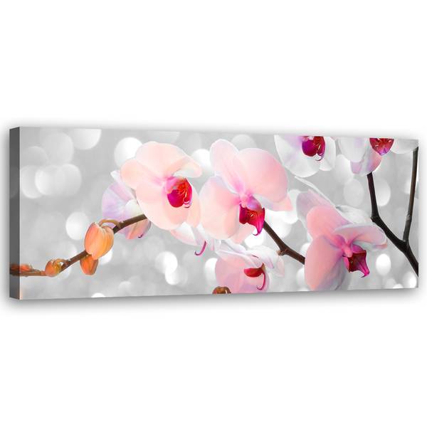 Wandbild orchidee blumen natur 120 x 40 cm