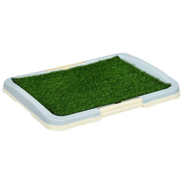 Hundetoilette D07-045V01LB Grün - Kunststoff - 49 x 6 x 63 cm