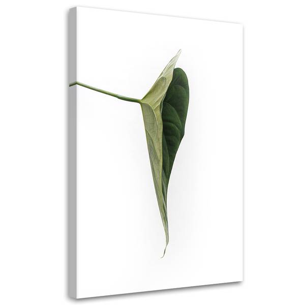 Canvas schilderij Botanisch 70 x 100 cm