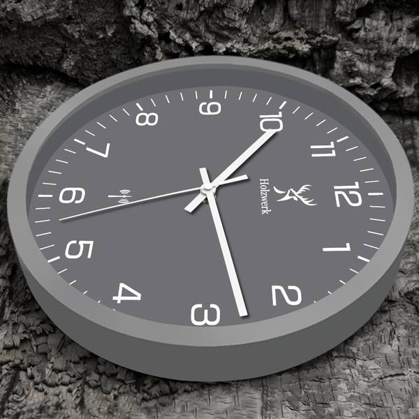Funk-Wanduhr FRIEDBERG Grau - Weiß