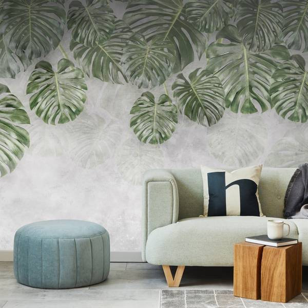 photinia hecke kaufen Glanzmispelhecke | kaufen main image 0
