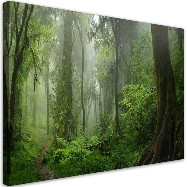 Wandbild tropischer wald dschungel 100 x 70 cm