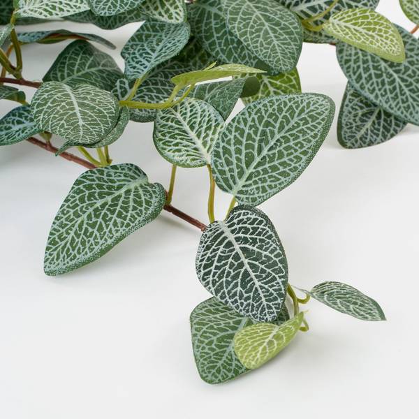 Kunstpflanze Fittonia Grün - Textil - 15 x 54 x 20 cm