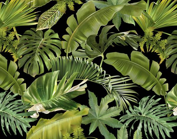 Panorama-Tapete Guyana Grün - Papier - 384 x 300 x 384 cm