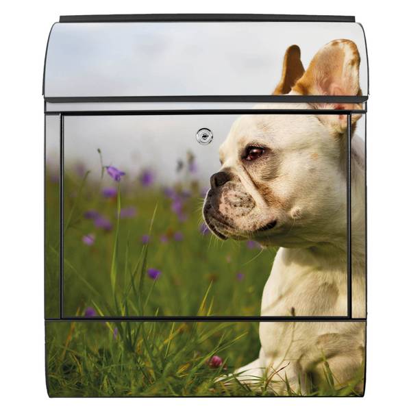 Briefkasten Stahl Französische Bulldogge Schwarz - Stahl - 38 x 46 x 13 cm
