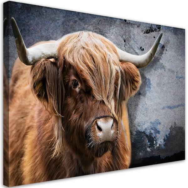 Wandbild schottische kuh tiere natur 60 x 40 cm