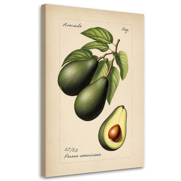 Tableau déco fruits vintage avocat 40 x 60 cm