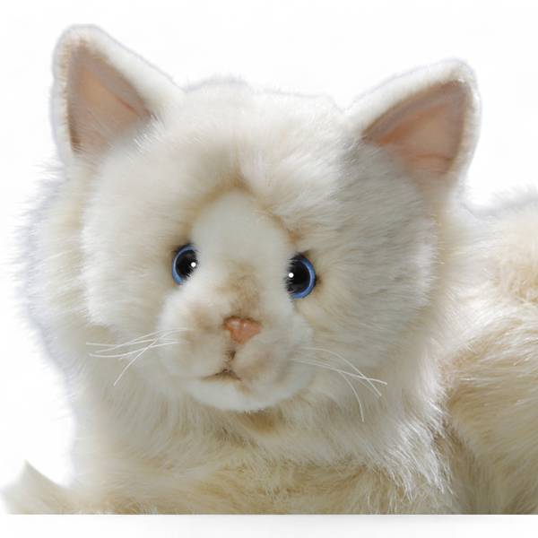 Kuscheltier Katze Birmakatze Beige - Kunstfell - 14 x 20 x 30 cm