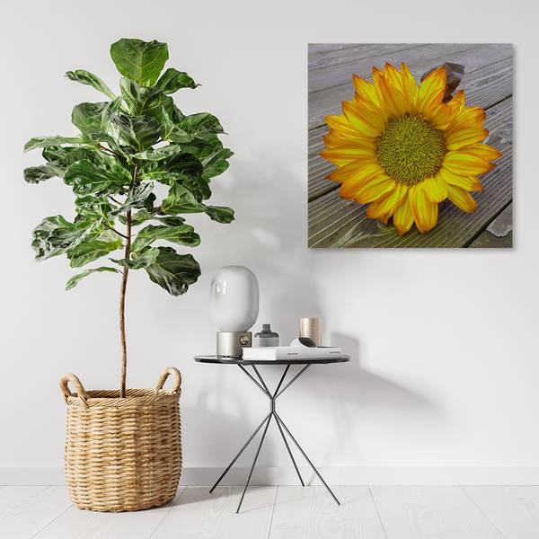 Wandbild sonnenblume 30 x 30 cm