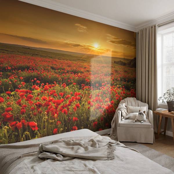 Vliestapete Velaria 70 x 104 cm
