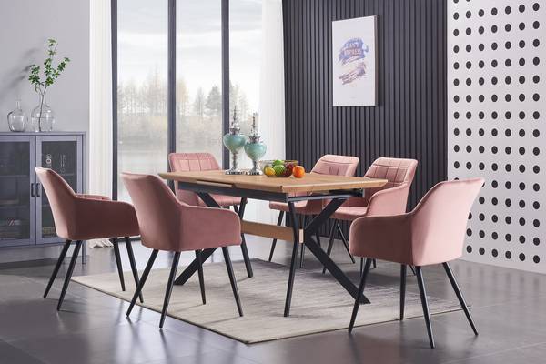 Esszimmerstuhl Camden, 2-teilig Pink