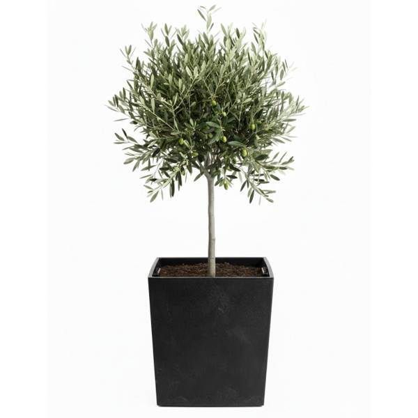 Blumentopf Flore 3er-Set Schwarz
