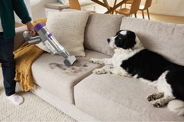 PowerDetect IP1251EUT Akku Staubsauger Grau - Kunststoff - 26 x 116 x 39 cm