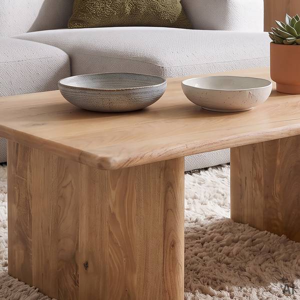 Couchtisch DIYA Braun - Mango - 120 x 46 x 75 cm