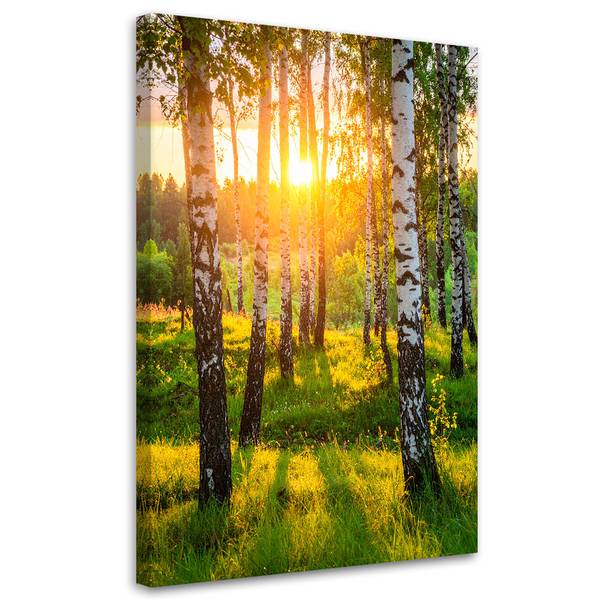 Canvas schilderij Natuur 80 x 120 cm