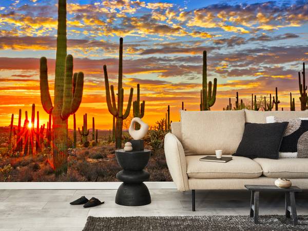 Fototapete Wüsten Sonnenuntergang Kaktus 200 x 140 x 140 cm