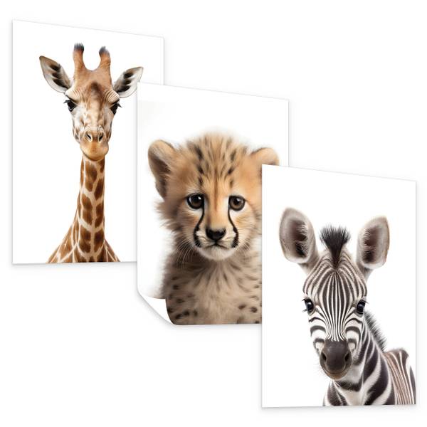 Poster für Kinder Wildtiere 3er Set 21 x 30 x 30 cm