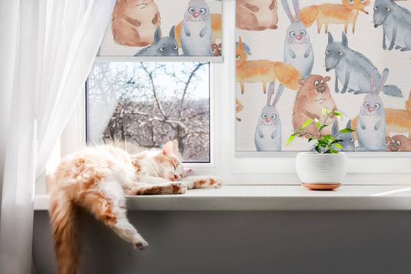 Rollo ZOO 60 x 140 cm
