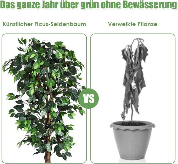 blhende landschaften saatgut Wildblumensaat: Blhende Landschaft