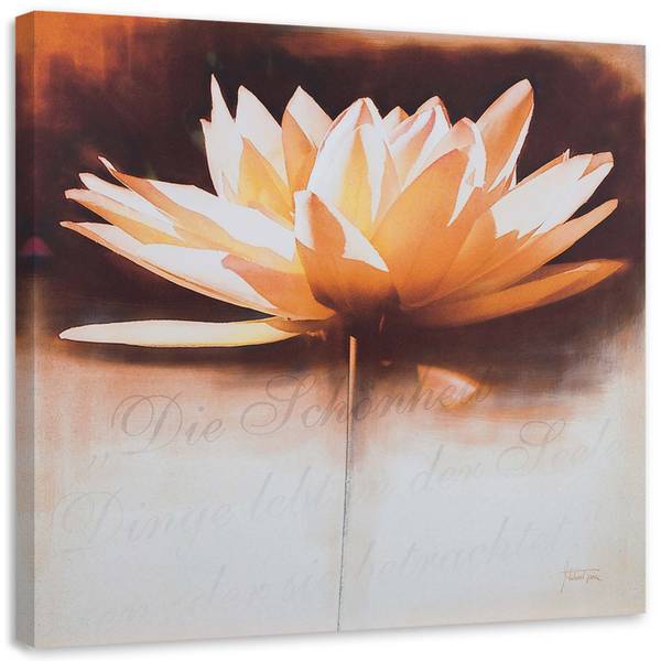 Wandbild wasserlilie 50 x 50 cm