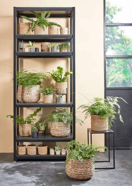 Pflanzkorb Atlantic (3er-Set) Hellbraun